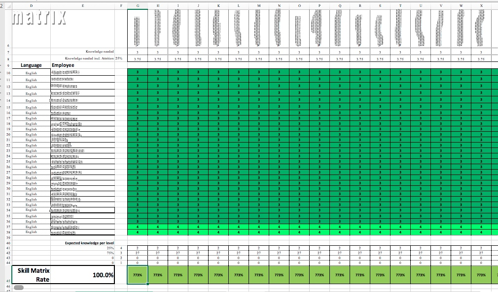 Skills Matrix - Data Entry and Report Creation